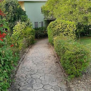 Il giardino dei sogni